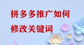 拼多多推廣如何修改關(guān)鍵詞