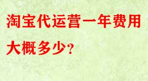 淘寶代運(yùn)營(yíng)一年費(fèi)用大概多少