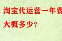 淘寶代運營一年費用大概多少？