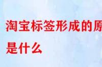 怎樣得到精準(zhǔn)流量？淘寶標(biāo)簽形成的原因是什么？