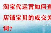 淘寶代運(yùn)營如何查看店鋪寶貝的成交關(guān)鍵詞？