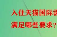 入住天貓國際需滿足哪些要求？