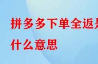 拼多多下單全返是什么意思？具體是如何操作的？