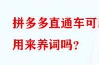 拼多多直通車可以用來養(yǎng)詞嗎？