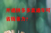 開通拼多多直通車可更省錢省力？